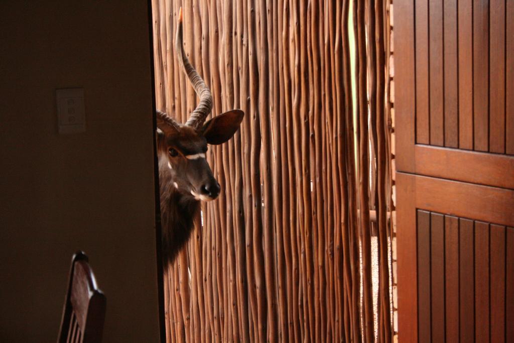 Makhato 84 Bush Lodge Bela-Bela Esterno foto