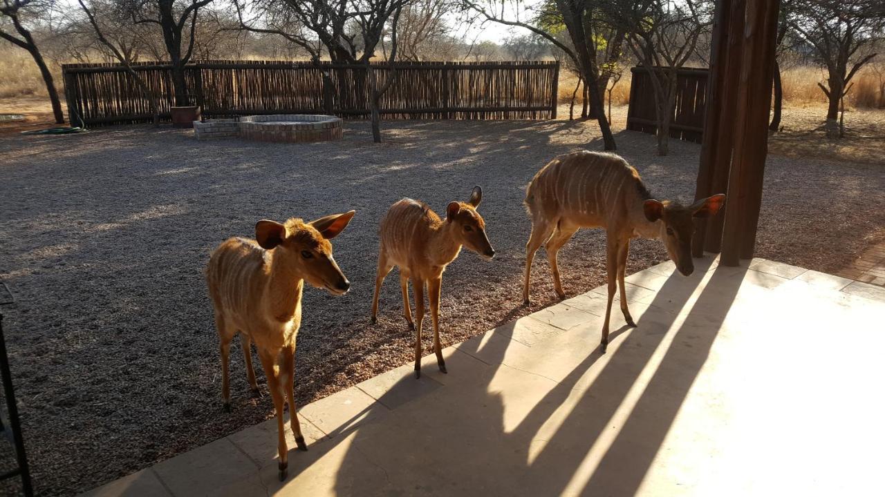 Makhato 84 Bush Lodge Bela-Bela Esterno foto